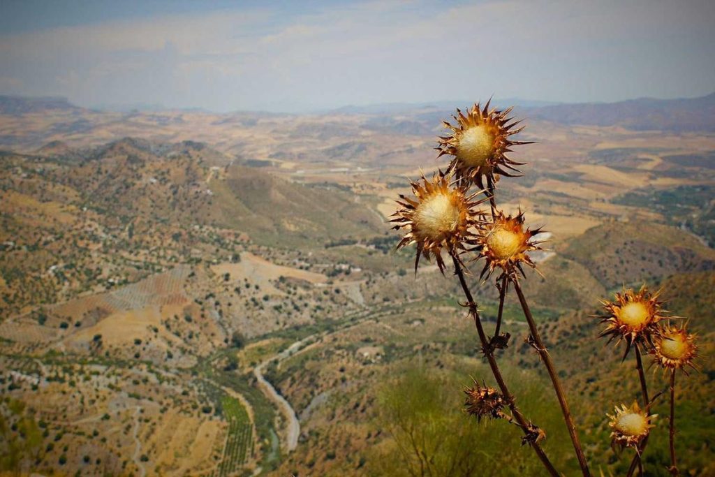 Best Padel Shoes 2026: Grip, Comfort & Durability Tested